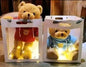 SET OSO TEDDY CON LUZ